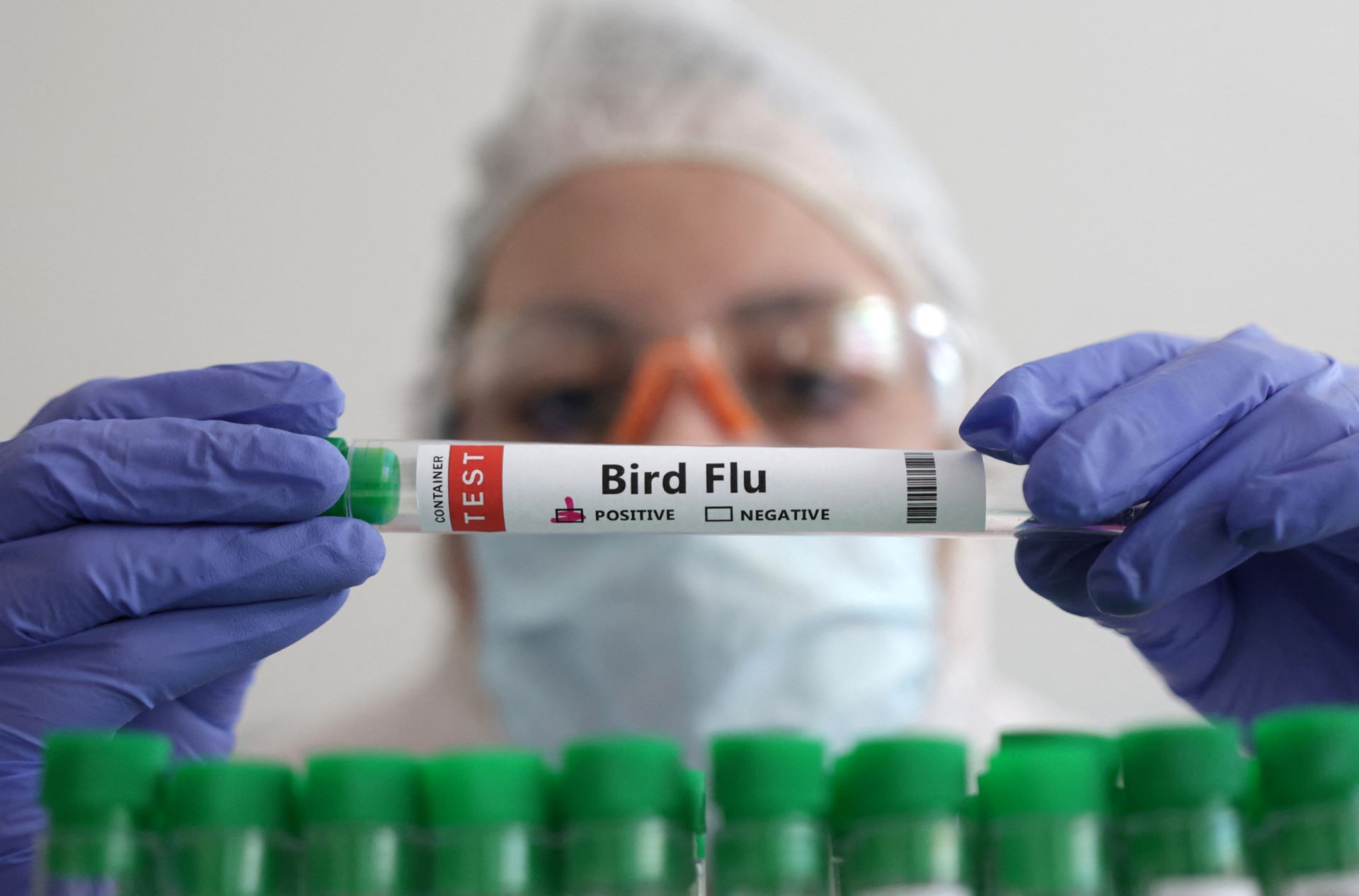 Ανησυχίες του ΠΟΥ για την εξάπλωση της γρίπης των πτηνών